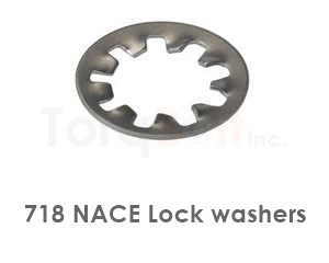 718 Nace Lock Washers
