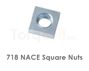 718 Nace Square Nuts