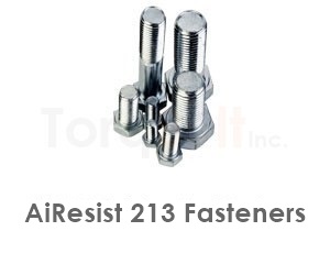 AiResist 213 Fasteners like Heavy Hex Bolts Screws Nuts Washers