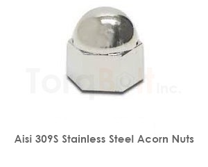 Aisi 309s Stainless Steel Acorn Nuts