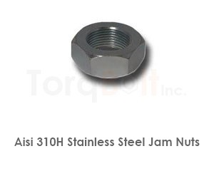 Aisi 310h Stainless Steel Jam Nuts