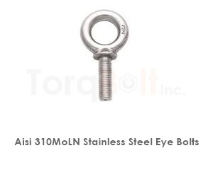 Aisi 310moln Stainless Steel Eye Bolts