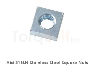 Aisi 316ln Stainless Steel Square Nuts