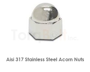 Aisi 317 Stainless Steel Acorn Nuts