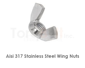 Aisi 317 Stainless Steel Wing Nuts