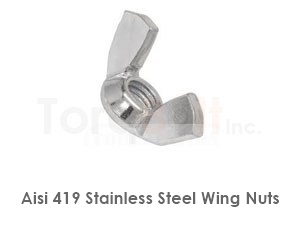 Aisi 419 Stainless Steel Wing Nuts