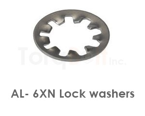 Al- 6xn Lock Washers