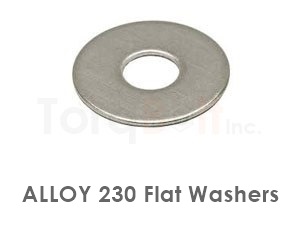 Alloy 230 Flat Washers
