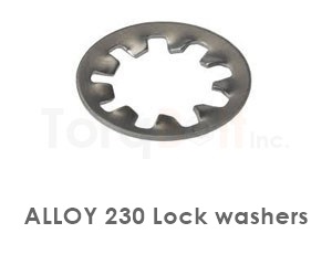 Alloy 230 Lock Washers