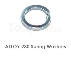 Alloy 230 Spring Washers