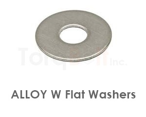 Alloy W Flat Washers