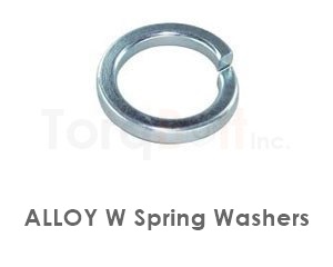 Alloy W Spring Washers