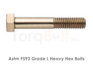 Astm F593L Bolts / ASME SF593L Bolts
