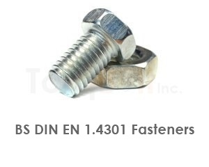 BS DIN EN 1.4301 Fasteners