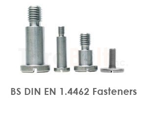 BS DIN EN 1.4462 Fasteners
