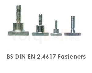 BS DIN EN 2.4617 Fasteners