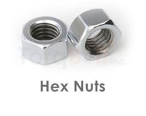 Zeron 100 Hex Nuts