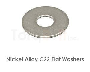 Hastelloy C22 Flat Washers