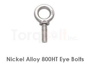 Incoloy 800ht Eye Bolts