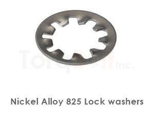 Incoloy 825 Lock Washers