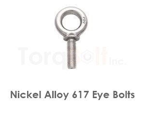 Inconel 617 Eye Bolts