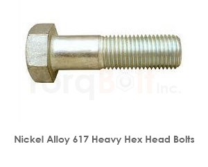 Inconel 617 Screws