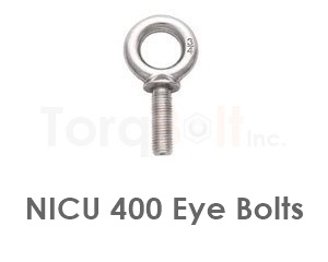 Nicu 400 Eye Bolts