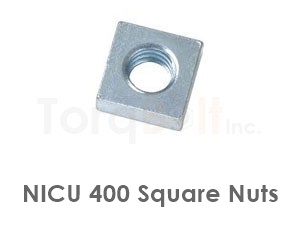 Nicu 400 Square Nuts