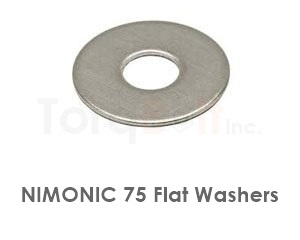 Nimonic 75 Flat Washers