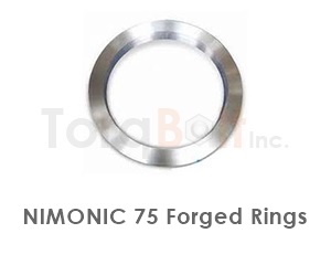 Nimonic 75 Forged Rings