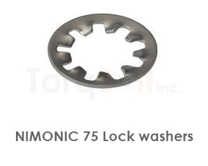 Nimonic 75 Lock Washers
