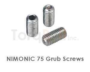 Nimonic 75 Set Screws