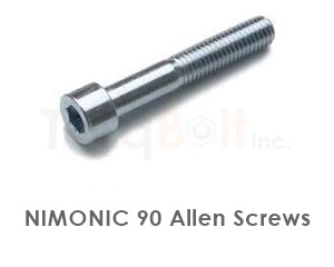 Nimonic 90 Allen Screws