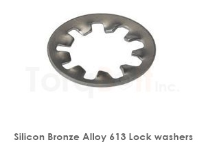 Silicon Bronze 613 Lock Washers
