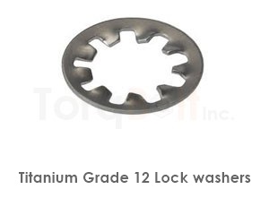 Titanium Grade 12 Lock Washers