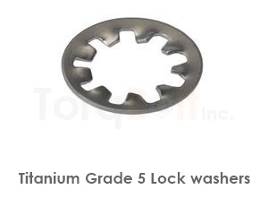 Titanium Grade 5 Lock Washers