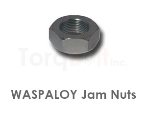 Waspaloy Jam Nuts