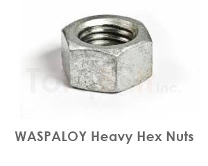Waspaloy Nuts