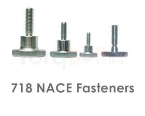 718 NACE Fasteners like Heavy Hex Bolts Screws Nuts Washers