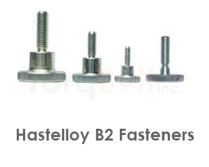 Hastelloy B2 Fasteners Heavy Hex Bolts Screws Nuts Washers