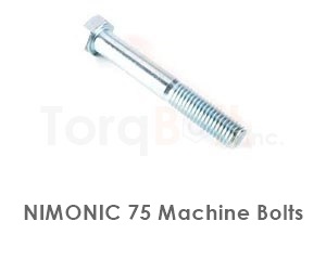 Nimonic 75 Bolts